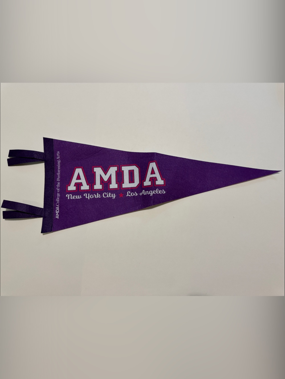 AMDA College of the Performing Arts Purple Felt College Pennant Flag